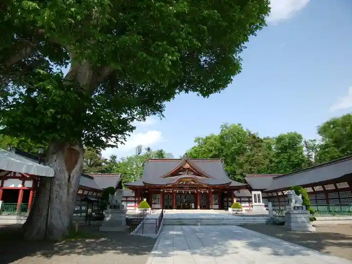 北海道護國神社の本殿・本堂