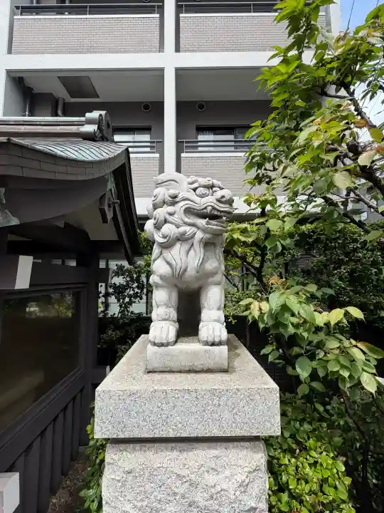 神楽坂若宮八幡神社の狛犬