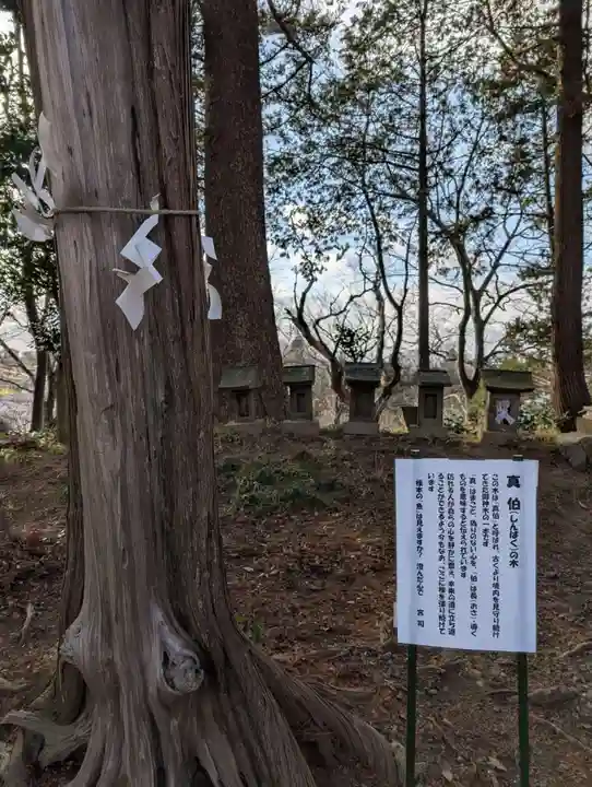 阿久津「田村神社」(郡山市阿久津町)旧社名:伊豆箱根三嶋三社(福島県)