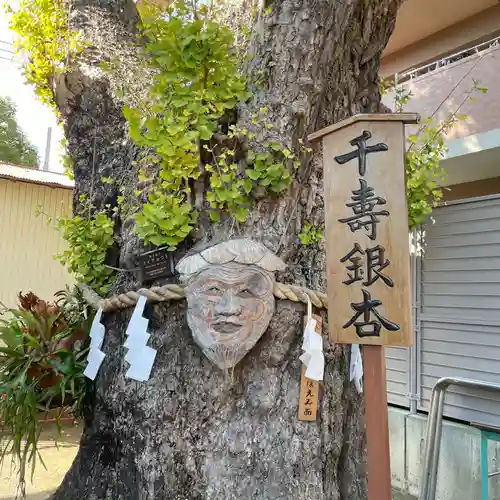 押切稲荷神社の自然