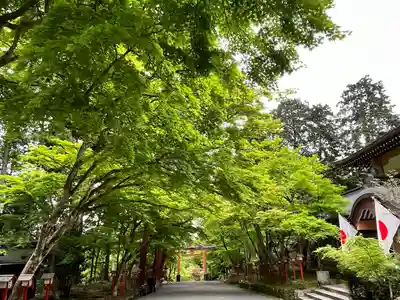 日吉大社(滋賀県)