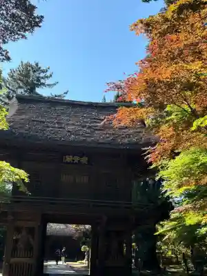 平林寺の{uncategorized: "未分類", other: "その他", undefined: "問題あり", building: "その他建物", grave: "お墓", sacred_gate: "鳥居", guardian: "狛犬", statue: "像", buddha: "仏像", history: "歴史", nature: "自然", garden: "庭園", animal: "動物", pagoda: "塔", temizu: "手水舎", mountain_gate: "山門・神門", sanctuary: "本殿・本堂", subordinate: "末社・摂社", art: "芸術", scenery: "景色", jizo: "地蔵", ema: "絵馬", goshuin: "御朱印", omikuji: "おみくじ", items: "授与品その他", amulet: "お守り", goshuincho: "御朱印帳", eats: "食事", festival: "お祭り", votive_dance: "神楽", shichigosan: "七五三参", wedding: "結婚式", experience: "体験その他", initially: "初詣", around: "周辺", anti_infection: "感染症対策"}