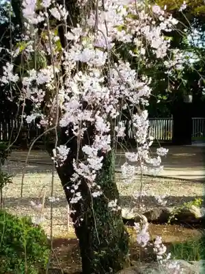 龍光寺(東京都)
