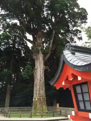 霧島神宮(鹿児島県)