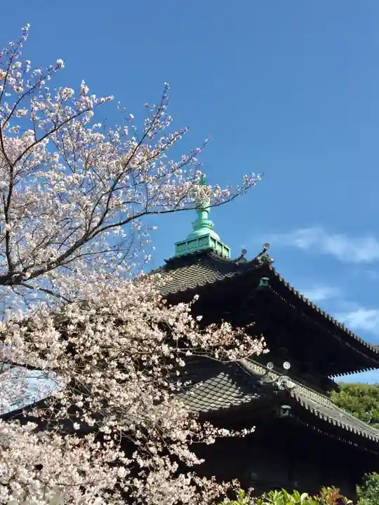 吉祥寺の塔