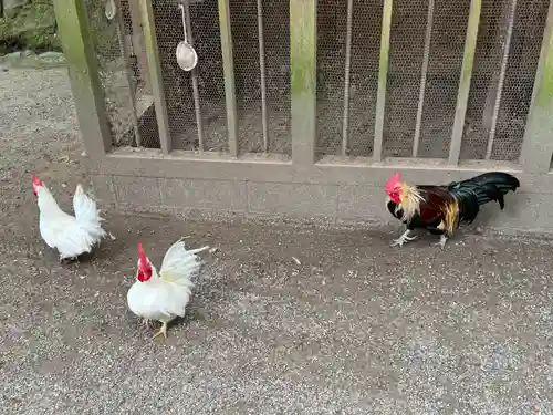 石上神宮(奈良県)