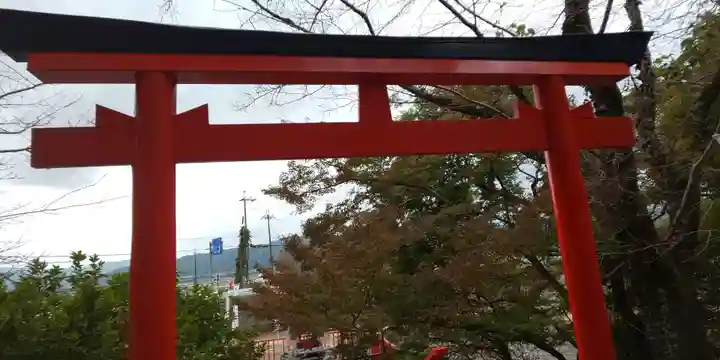 出雲大神宮の鳥居