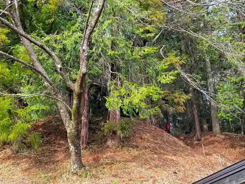 穂見諏訪十五所神社(山梨県)