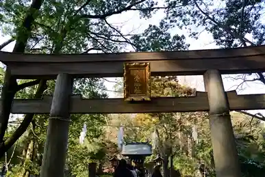 武蔵一宮氷川神社の鳥居