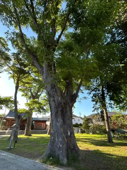 渚大神社の{uncategorized: "未分類", other: "その他", undefined: "問題あり", building: "その他建物", grave: "お墓", sacred_gate: "鳥居", guardian: "狛犬", statue: "像", buddha: "仏像", history: "歴史", nature: "自然", garden: "庭園", animal: "動物", pagoda: "塔", temizu: "手水舎", mountain_gate: "山門・神門", sanctuary: "本殿・本堂", subordinate: "末社・摂社", art: "芸術", scenery: "景色", jizo: "地蔵", ema: "絵馬", goshuin: "御朱印", omikuji: "おみくじ", items: "授与品その他", amulet: "お守り", goshuincho: "御朱印帳", eats: "食事", festival: "お祭り", votive_dance: "神楽", shichigosan: "七五三参", wedding: "結婚式", experience: "体験その他", initially: "初詣", around: "周辺", anti_infection: "感染症対策"}