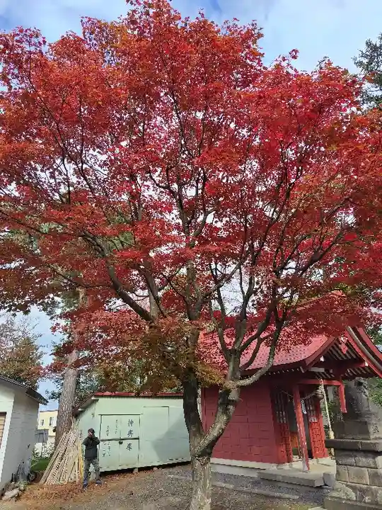 鷹栖神社の自然