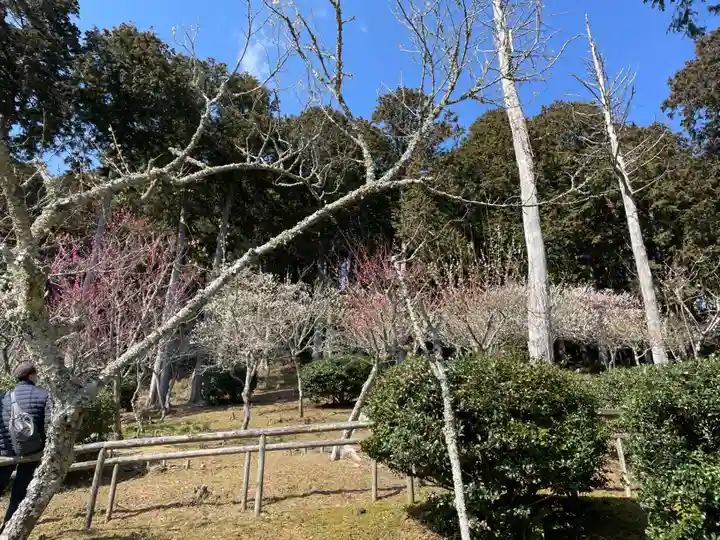 石山寺(滋賀県)