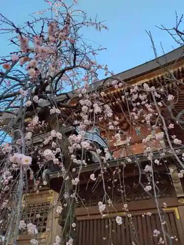 湯島天満宮(東京都)