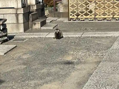 徳泉寺(神奈川県)