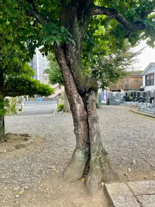 長福寺(東京都)
