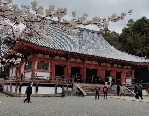 醍醐寺(京都府)