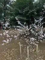 東蕗田天満社のその他建物