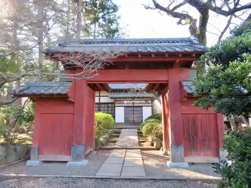 豪徳寺の山門