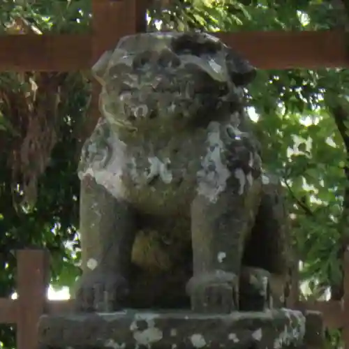 津毛利神社の狛犬