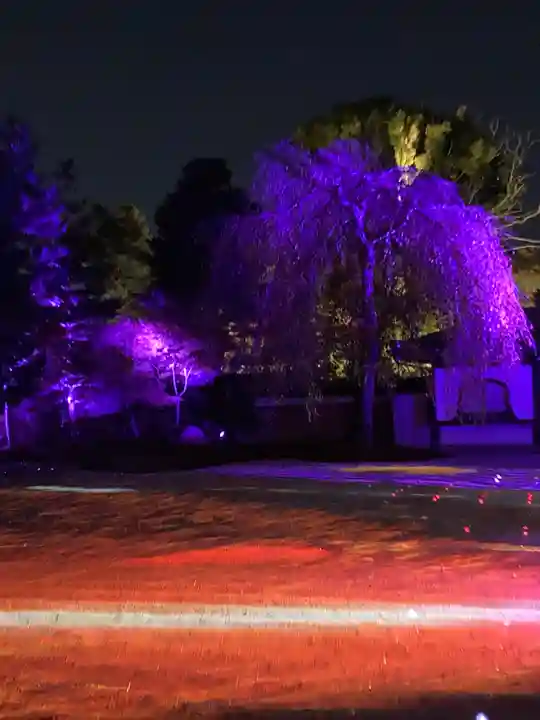 高台寺(高台寿聖禅寺・高臺寺)(京都府)