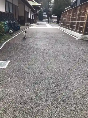 修広寺のその他建物