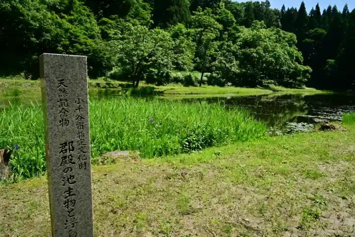 郡殿の池弁財天社(新潟県)