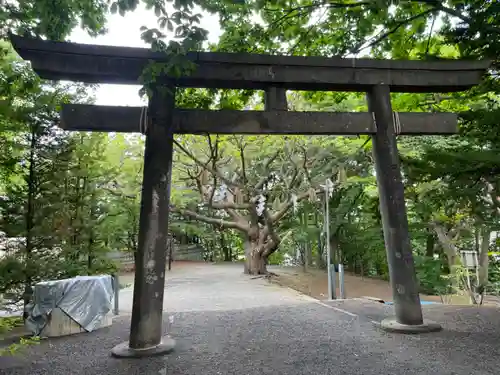 相馬神社の鳥居