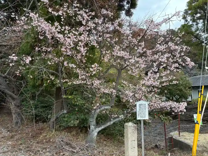 神咒寺の{uncategorized: "未分類", other: "その他", undefined: "問題あり", building: "その他建物", grave: "お墓", sacred_gate: "鳥居", guardian: "狛犬", statue: "像", buddha: "仏像", history: "歴史", nature: "自然", garden: "庭園", animal: "動物", pagoda: "塔", temizu: "手水舎", mountain_gate: "山門・神門", sanctuary: "本殿・本堂", subordinate: "末社・摂社", art: "芸術", scenery: "景色", jizo: "地蔵", ema: "絵馬", goshuin: "御朱印", omikuji: "おみくじ", items: "授与品その他", amulet: "お守り", goshuincho: "御朱印帳", eats: "食事", festival: "お祭り", votive_dance: "神楽", shichigosan: "七五三参", wedding: "結婚式", experience: "体験その他", initially: "初詣", around: "周辺", anti_infection: "感染症対策"}
