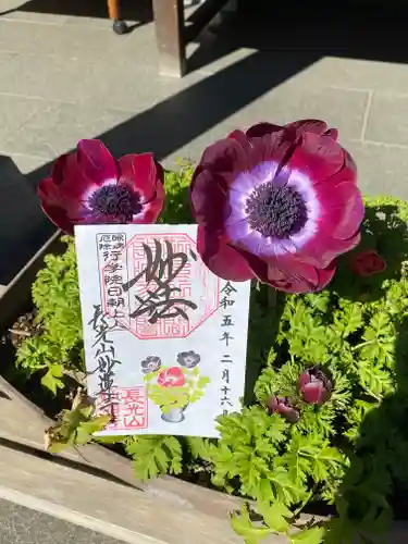 妙蓮寺の御朱印