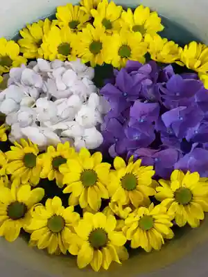 白金氷川神社(東京都)