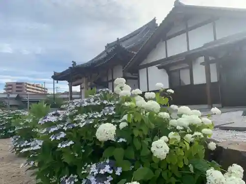 王子山薬師寺の本殿・本堂