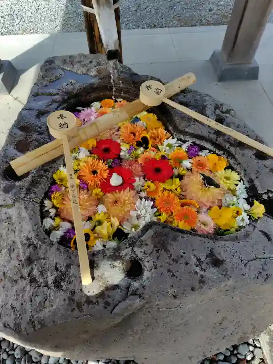 津島神社の{uncategorized: "未分類", other: "その他", undefined: "問題あり", building: "その他建物", grave: "お墓", sacred_gate: "鳥居", guardian: "狛犬", statue: "像", buddha: "仏像", history: "歴史", nature: "自然", garden: "庭園", animal: "動物", pagoda: "塔", temizu: "手水舎", mountain_gate: "山門・神門", sanctuary: "本殿・本堂", subordinate: "末社・摂社", art: "芸術", scenery: "景色", jizo: "地蔵", ema: "絵馬", goshuin: "御朱印", omikuji: "おみくじ", items: "授与品その他", amulet: "お守り", goshuincho: "御朱印帳", eats: "食事", festival: "お祭り", votive_dance: "神楽", shichigosan: "七五三参", wedding: "結婚式", experience: "体験その他", initially: "初詣", around: "周辺", anti_infection: "感染症対策"}