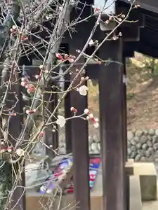 群馬県護国神社(群馬県)(2025年02月09日(日) 13時40分19秒投稿)