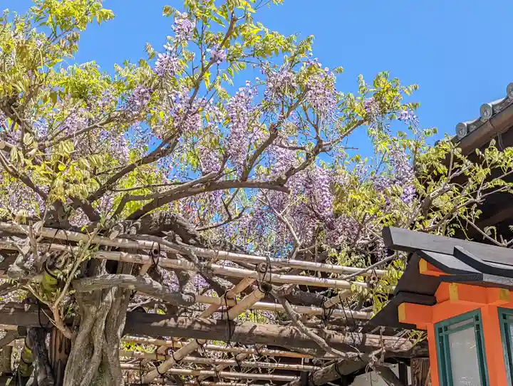 西院春日神社(京都府)