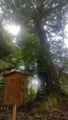 須佐神社(島根県)