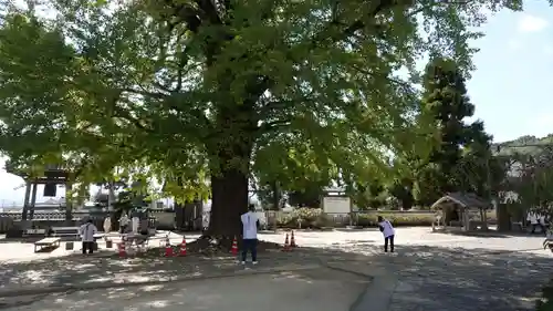 地蔵寺(徳島県)