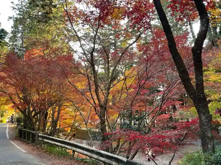 小國神社(静岡県)