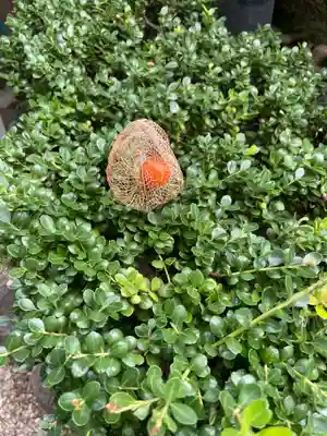 観音寺(大阪府)