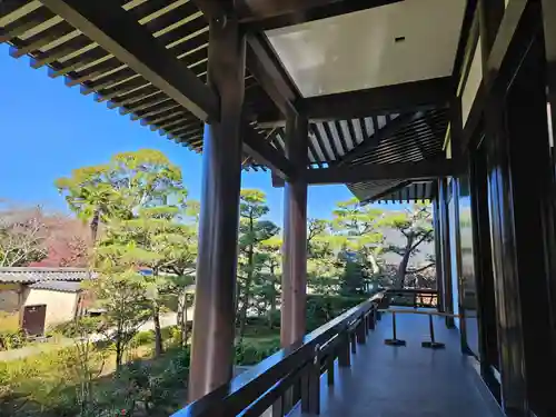 中宮寺(奈良県)