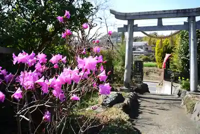 横浜御嶽神社(神奈川県)