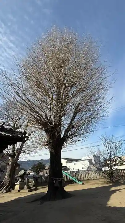 若宮八幡神社(徳島県)