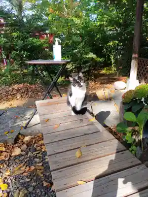 愛宕神社(福島県)