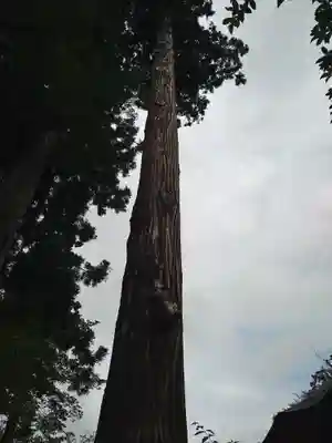 若松寺(山形県)