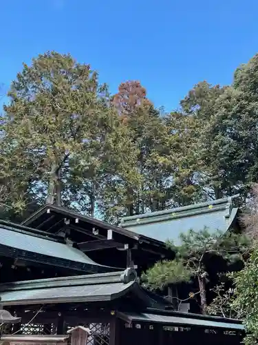 八大神社の本殿・本堂