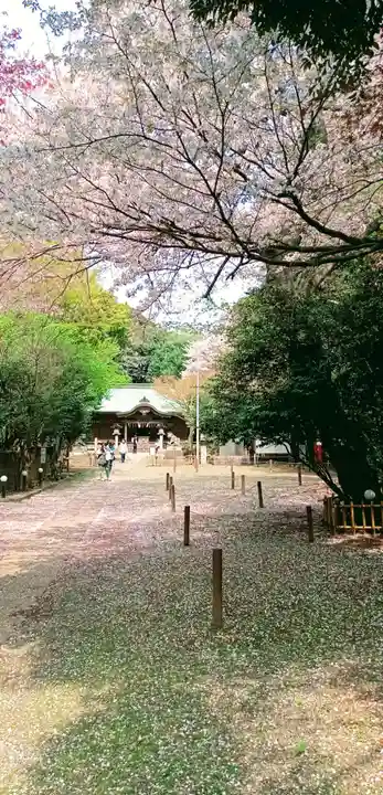 畑子安神社(千葉県)