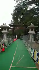 東郷神社の鳥居