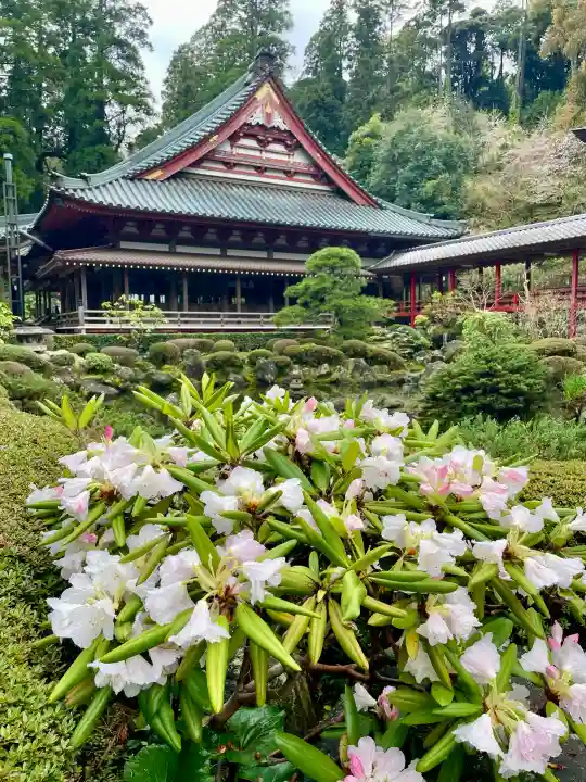 本漸寺の{uncategorized: "未分類", other: "その他", undefined: "問題あり", building: "その他建物", grave: "お墓", sacred_gate: "鳥居", guardian: "狛犬", statue: "像", buddha: "仏像", history: "歴史", nature: "自然", garden: "庭園", animal: "動物", pagoda: "塔", temizu: "手水舎", mountain_gate: "山門・神門", sanctuary: "本殿・本堂", subordinate: "末社・摂社", art: "芸術", scenery: "景色", jizo: "地蔵", ema: "絵馬", goshuin: "御朱印", omikuji: "おみくじ", items: "授与品その他", amulet: "お守り", goshuincho: "御朱印帳", eats: "食事", festival: "お祭り", votive_dance: "神楽", shichigosan: "七五三参", wedding: "結婚式", experience: "体験その他", initially: "初詣", around: "周辺", anti_infection: "感染症対策"}