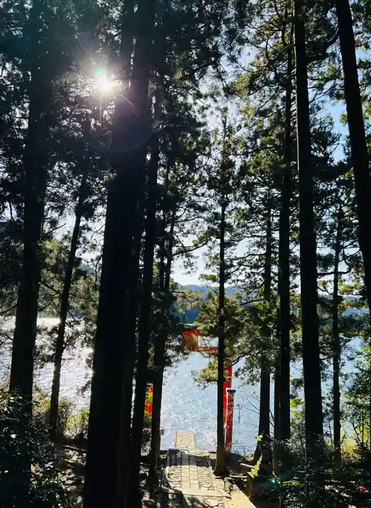 箱根神社(神奈川県)