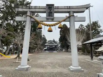 樹下神社（中野）(滋賀県)