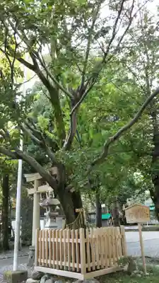 前島神社の自然